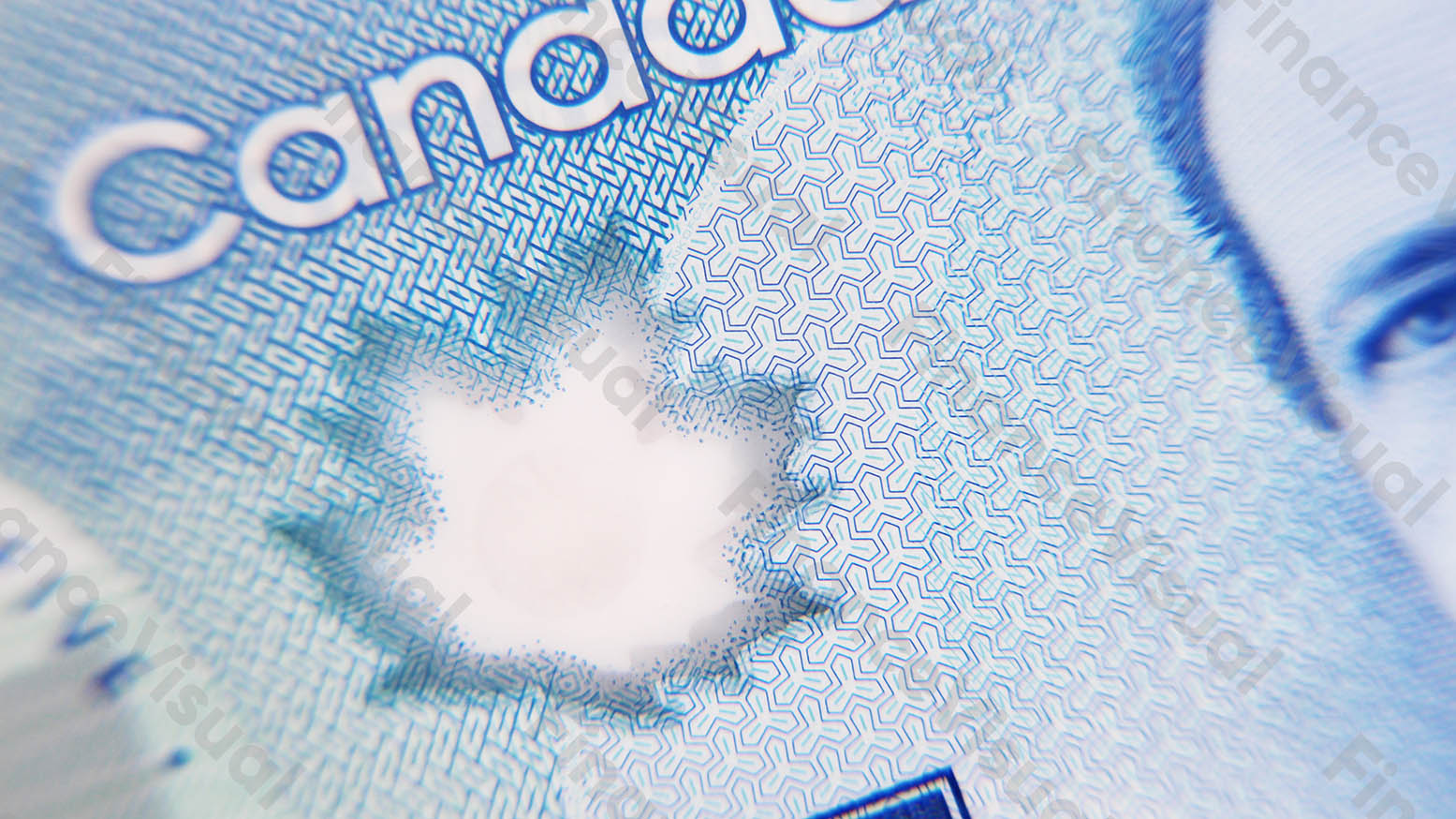 Dolar kanadyjski banknot gotówka