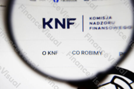 KNF strona internetowa