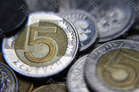 złoty PLN monety