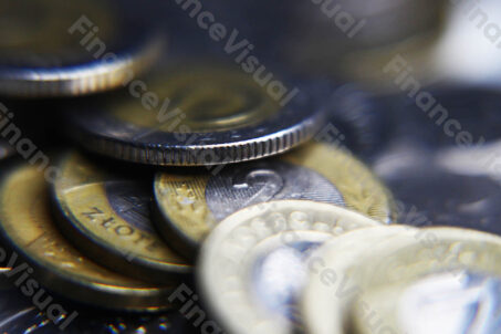 złoty PLN monety