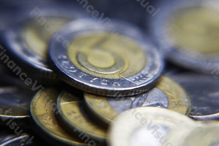 złoty PLN monety