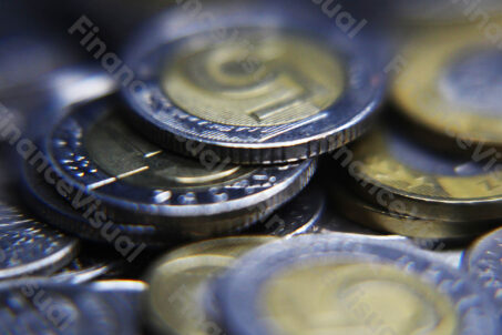 Monety złoty PLN