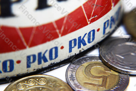 PKO świnka skarbonka oszczędności