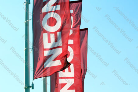 Neonet flagi 3
