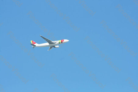 TAP Portugal linie lotnicze