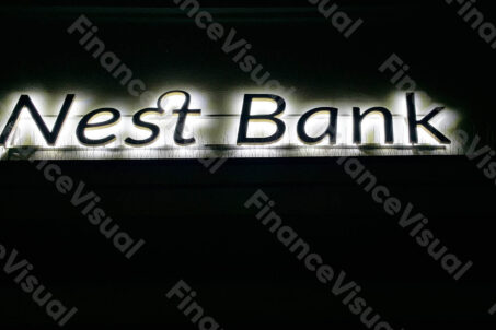 Nest Bank stare logo 1