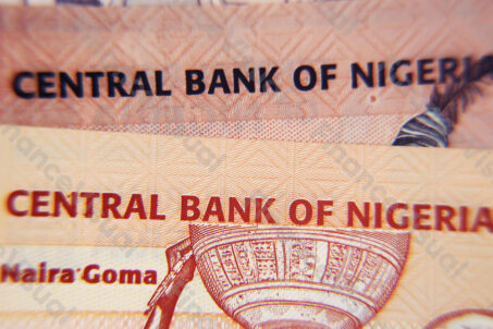 Nigeria waluta naira 2