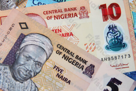 Nigeria waluta naira 4
