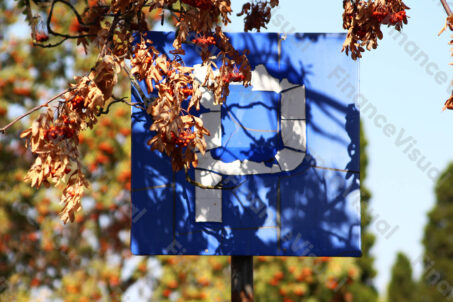 Parking znak drogowy w liściach