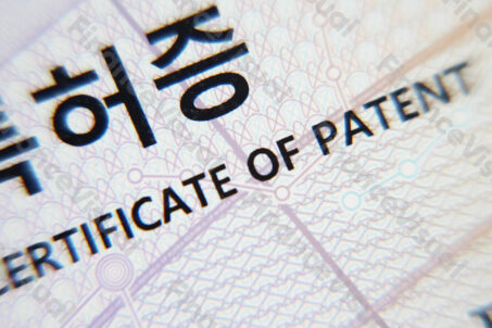 Patent Korean Intellectual Property Office KIPO 8