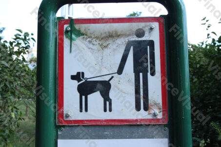 Zakaz wyprowadzania psów