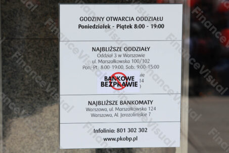 Manifestacja Stop Bankowemu Bezprawiu 31