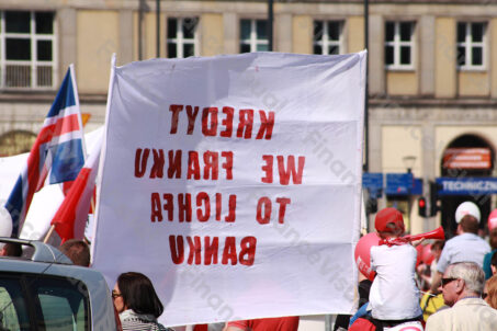 Manifestacja Stop Bankowemu Bezprawiu 64