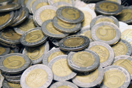 NBP - sortownia - pieniądze 6