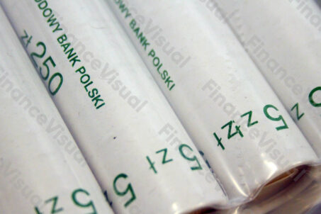 NBP - sortownia - pieniądze 8