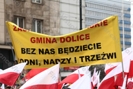 Protest rolników 41