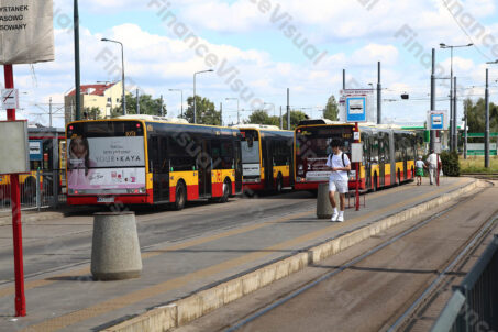Autobusy pętla