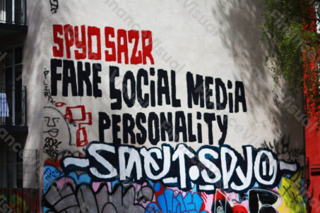 Fake social media personality - mural