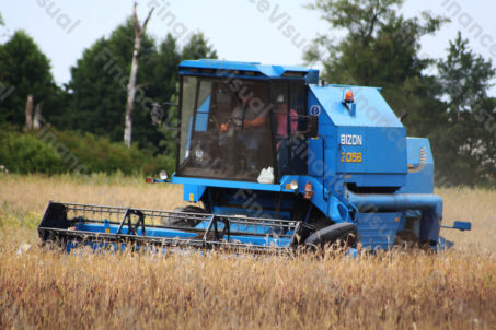 Kombajn_żniwa 1