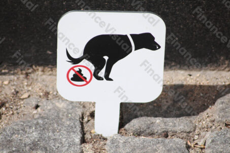 Zakaz wyprowadzania psów 1