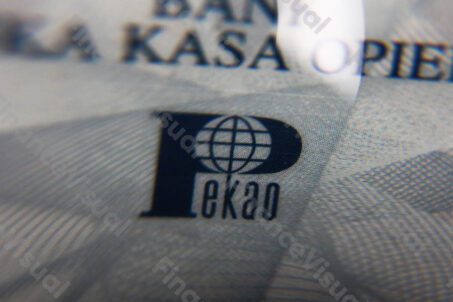 Polska Kasa Opieki karta 2