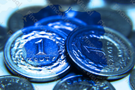 Złoty - polska gospodarka 4