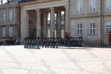 Kopenhaga - zmiana warty 1