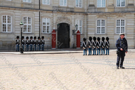 Kopenhaga - zmiana warty 4