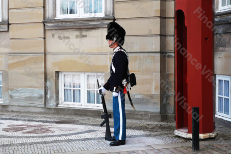 Kopenhaga - zmiana warty 5