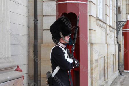 Kopenhaga - zmiana warty 6