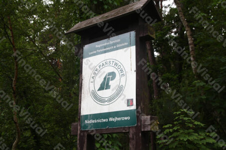 Lasy Państwowe
