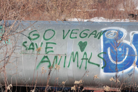 Go vegan save animals