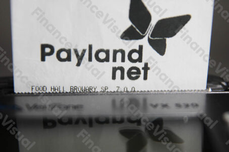 Payland net terminal