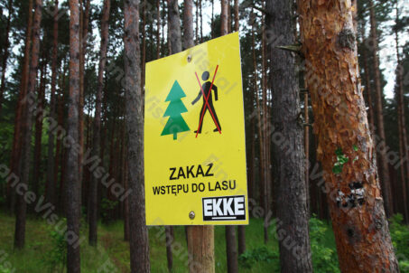 Zakaz wstępu do lasu 2