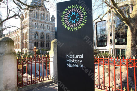 Muzeum Historii Naturalnej Londyn 1