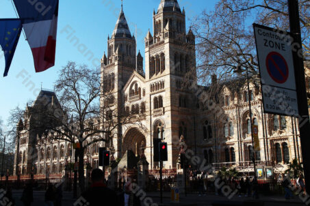 Muzeum Historii Naturalnej Londyn 2