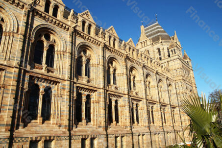 Muzeum Historii Naturalnej Londyn 3