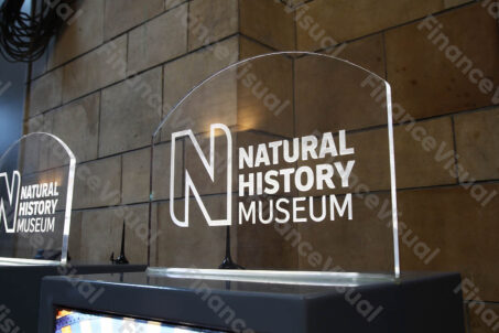 Muzeum Historii Naturalnej Londyn 4