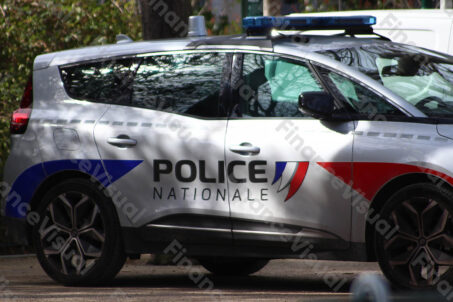 Policja Francja 1
