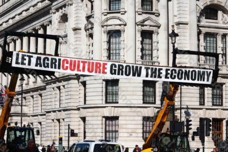 Rolnictwo - transparent 1