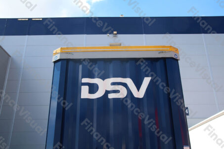 DSV logo 1