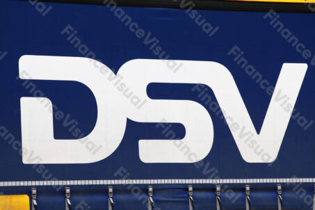 DSV logo 2