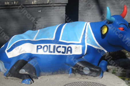 Policja - krowa