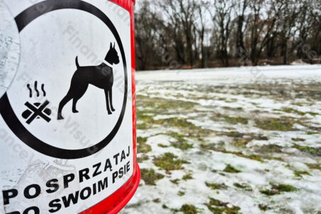 Posprzątaj po swoim psie 10