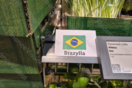 Produkty spożywcze - Brazylia
