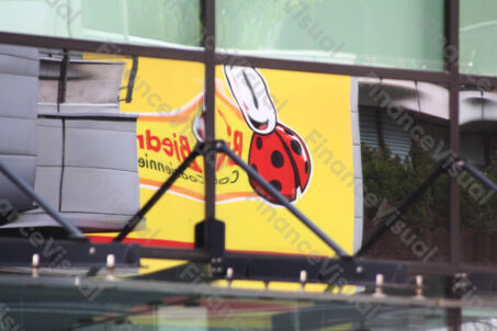 Biedronka - logo - odbicie