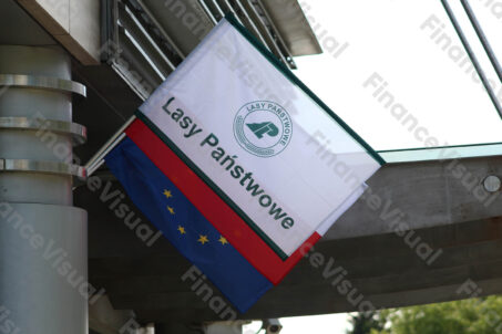 Lasy Państwowe - centrala 11