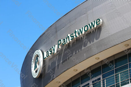 Lasy Państwowe - centrala 7