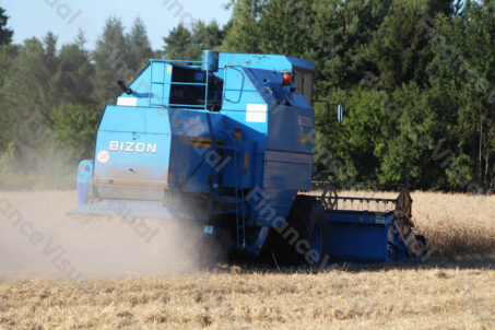 Bizon - żniwa 6
