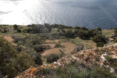 Dingli - pola uprawne